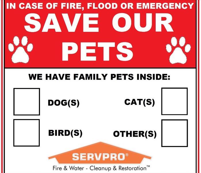 Save Our Pets!