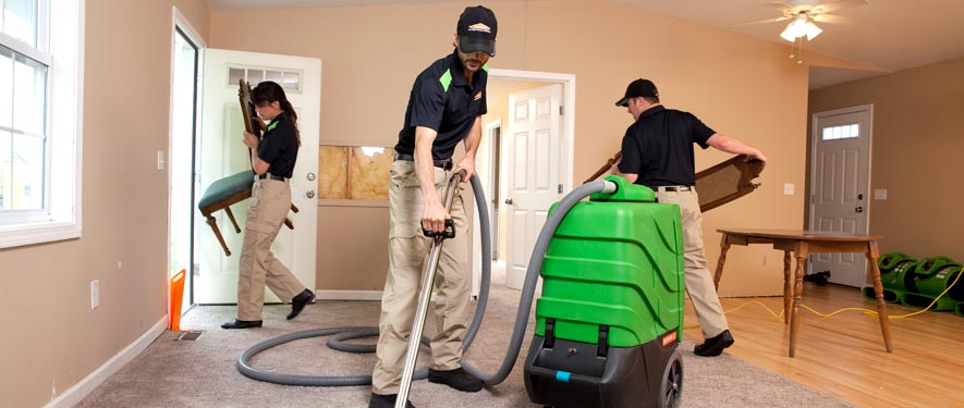 Berwyn, IL cleaning services